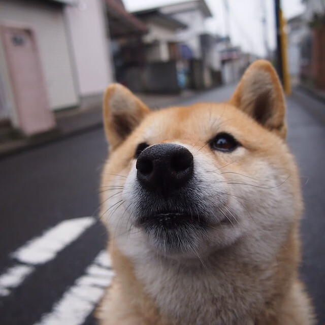 年度焦点之战之夜，门迪打出统治级数据，重新定义防守艺术