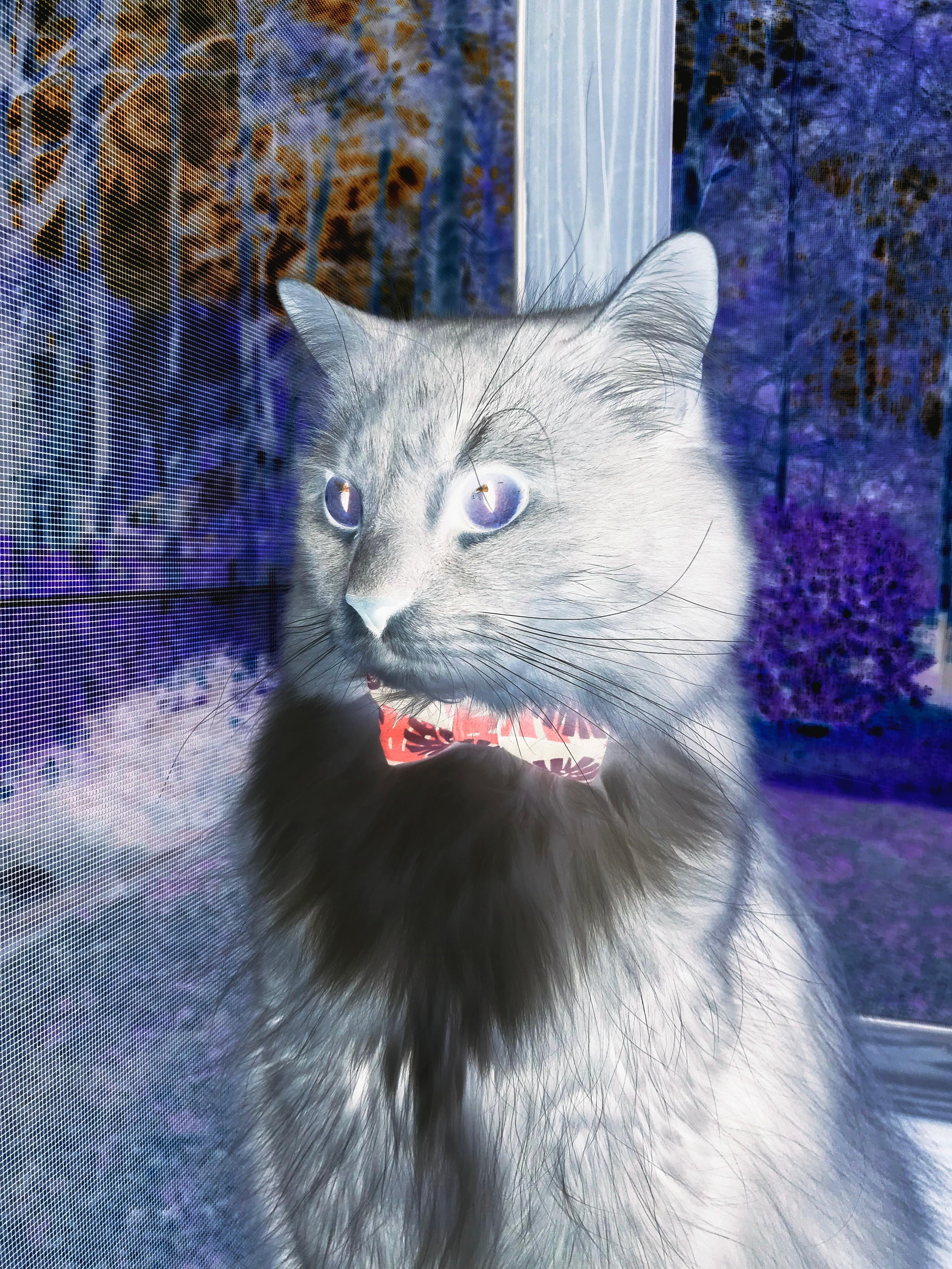 掌控风云,杰伦·格林独舞定乾坤,辽宁巅峰对决力压广东