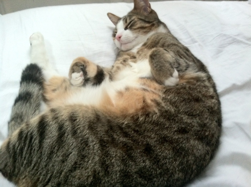 快船碾压魔术，杜兰特成为关键先生，一场战术与巨星的完美交响